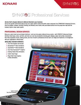 SYNKROS Professional Services Slick