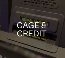 SYNKROS Cage & Credit