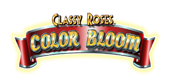 Classy Roses Color Bloom Logo Final