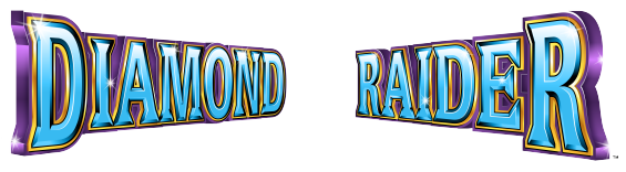 Diamond Raider Logo Diamond Raider Logo
